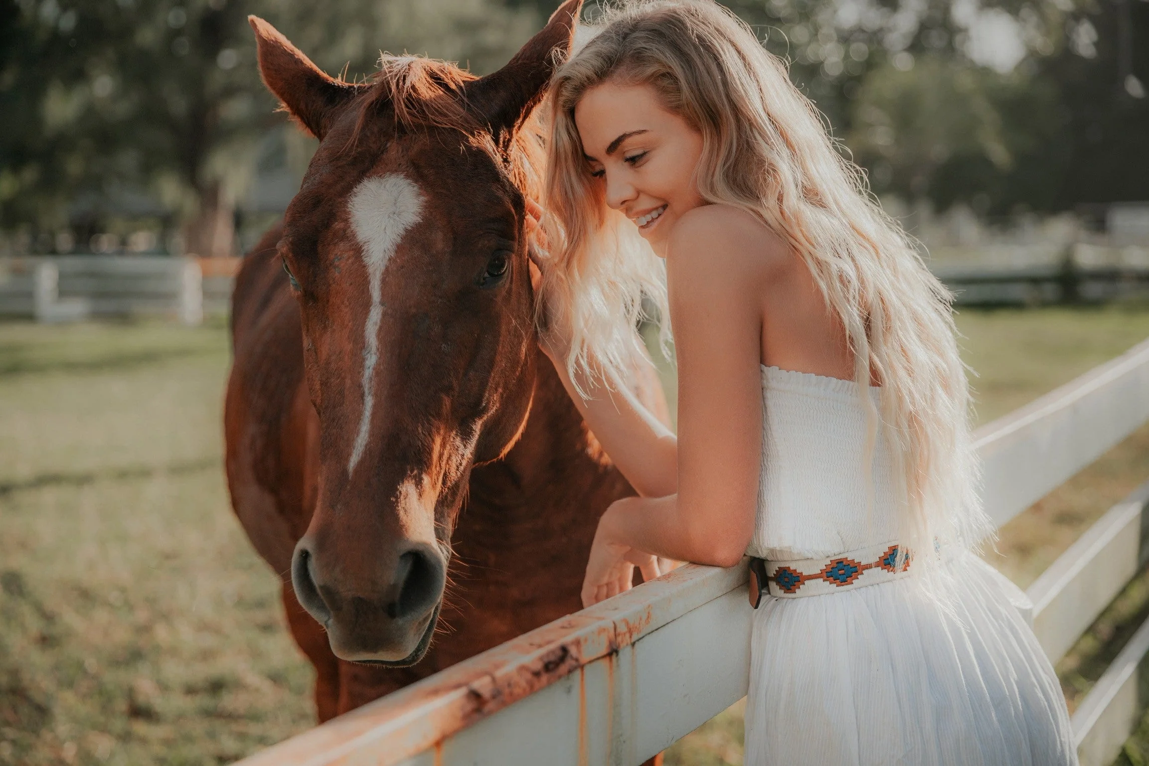 Cowboy - Image 6