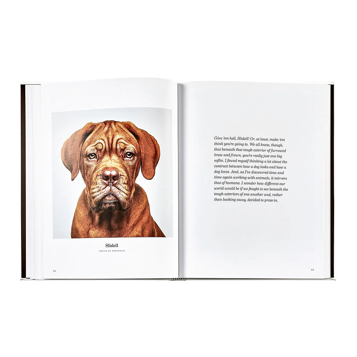 Good Dog: A Selection of Portraits by Randal Ford - Image 10