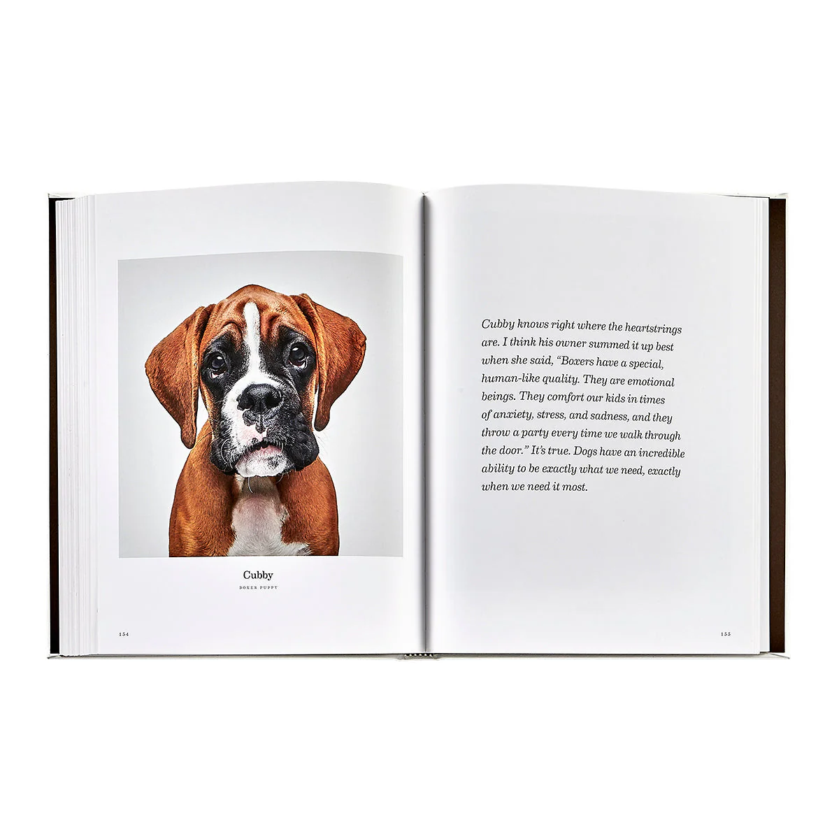 Good Dog: A Selection of Portraits by Randal Ford - Image 14