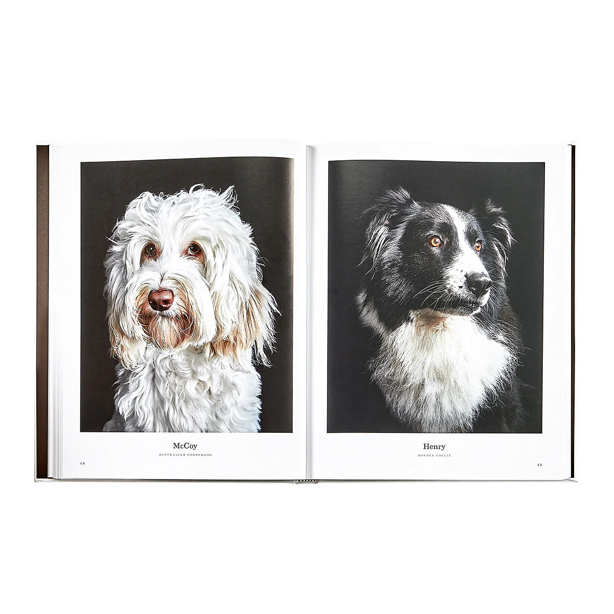 Good Dog: A Selection of Portraits by Randal Ford - Image 6