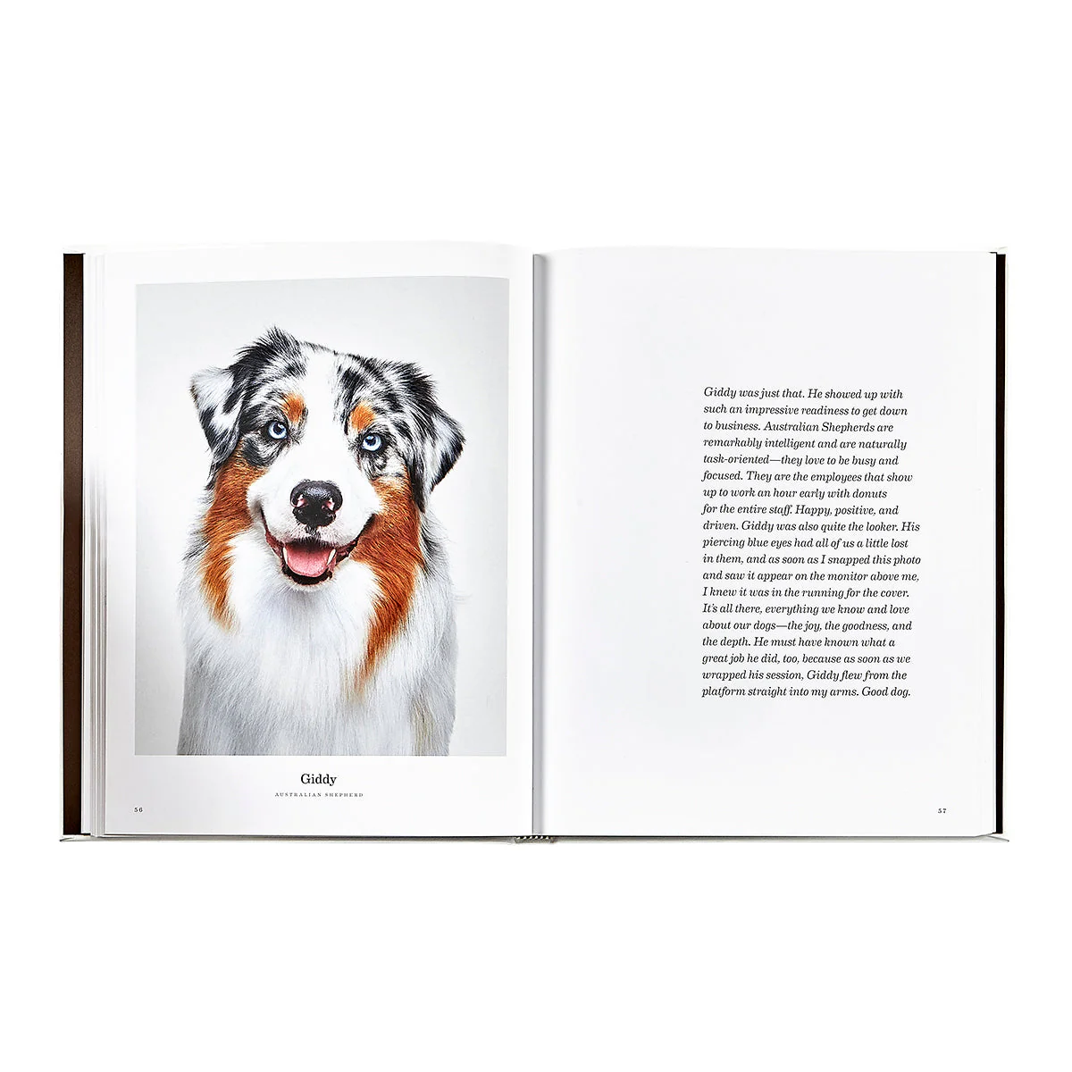 Good Dog: A Selection of Portraits by Randal Ford - Image 7