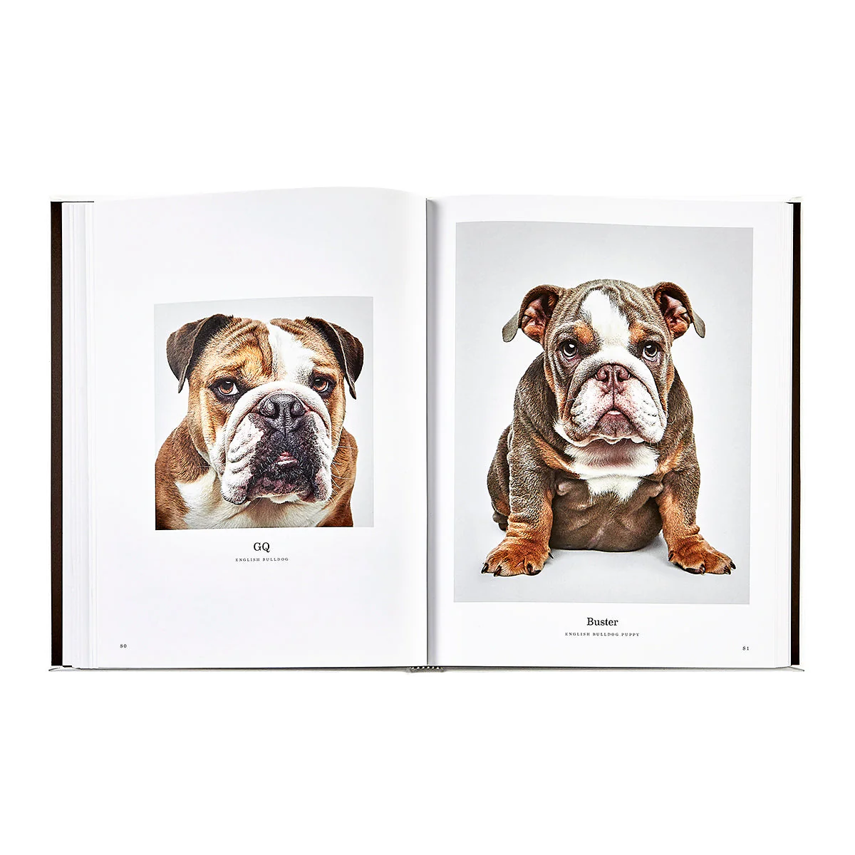 Good Dog: A Selection of Portraits by Randal Ford - Image 9