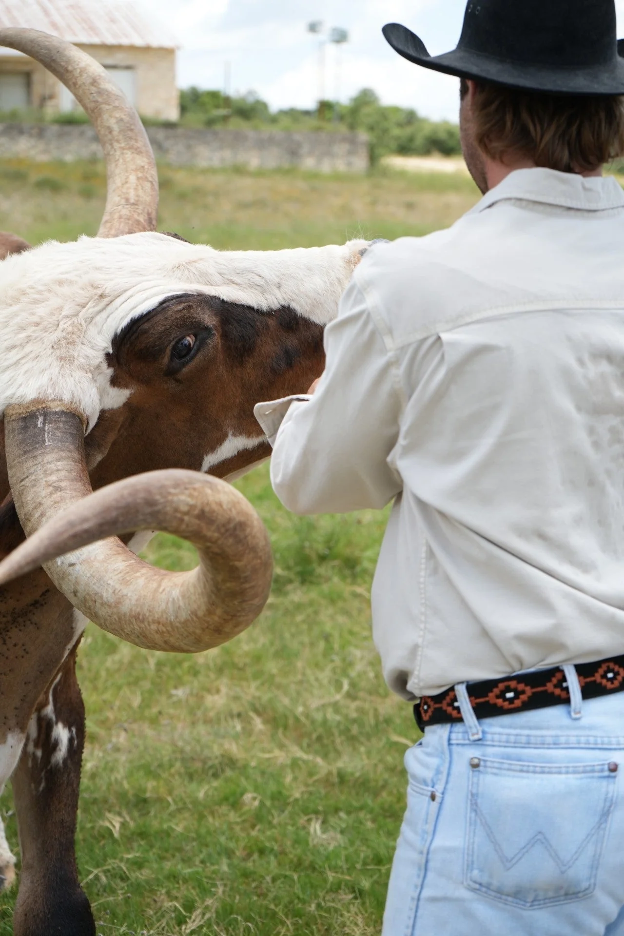 Texas Exes II - Image 7