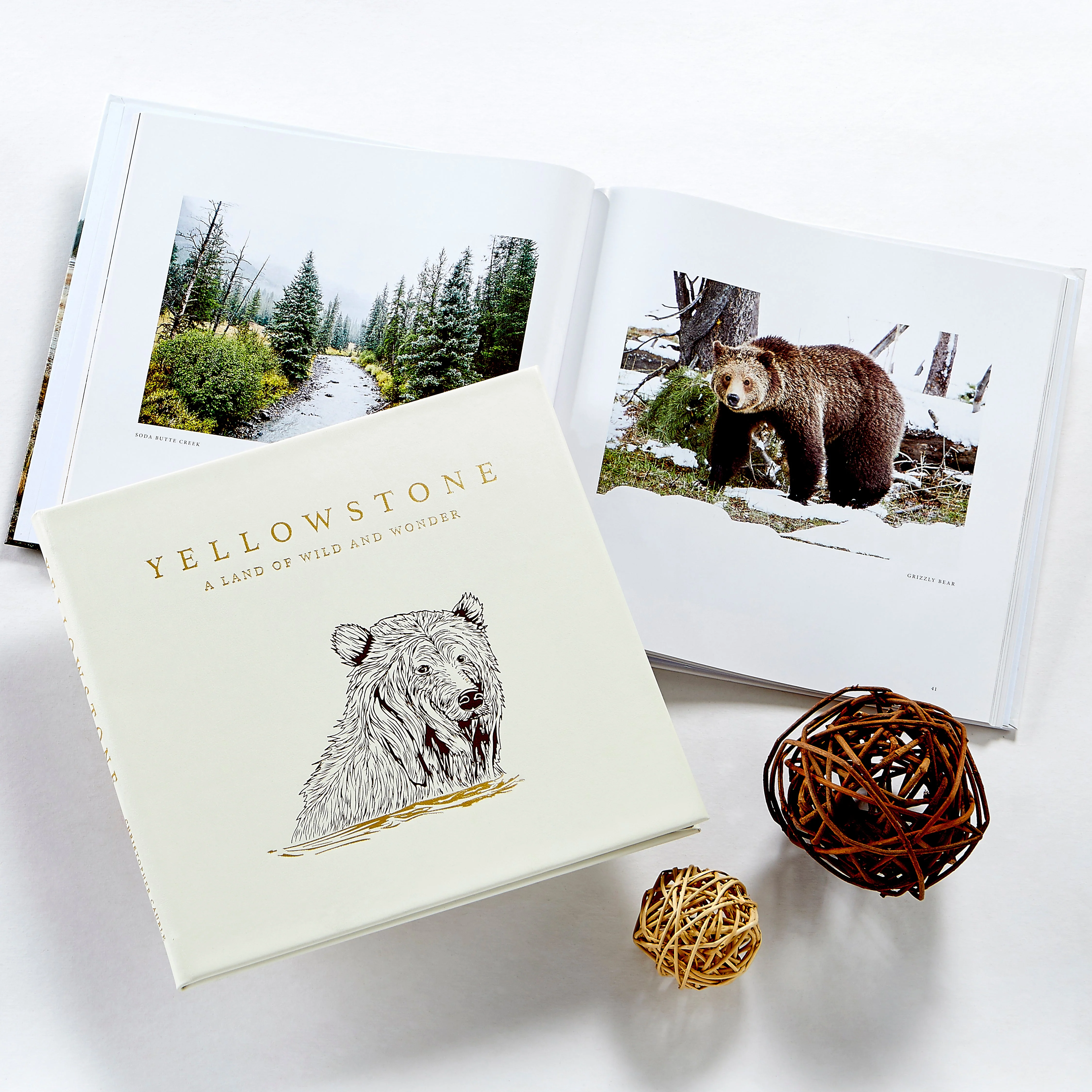 Yellowstone: A Land of Wild and Wonder - Image 2