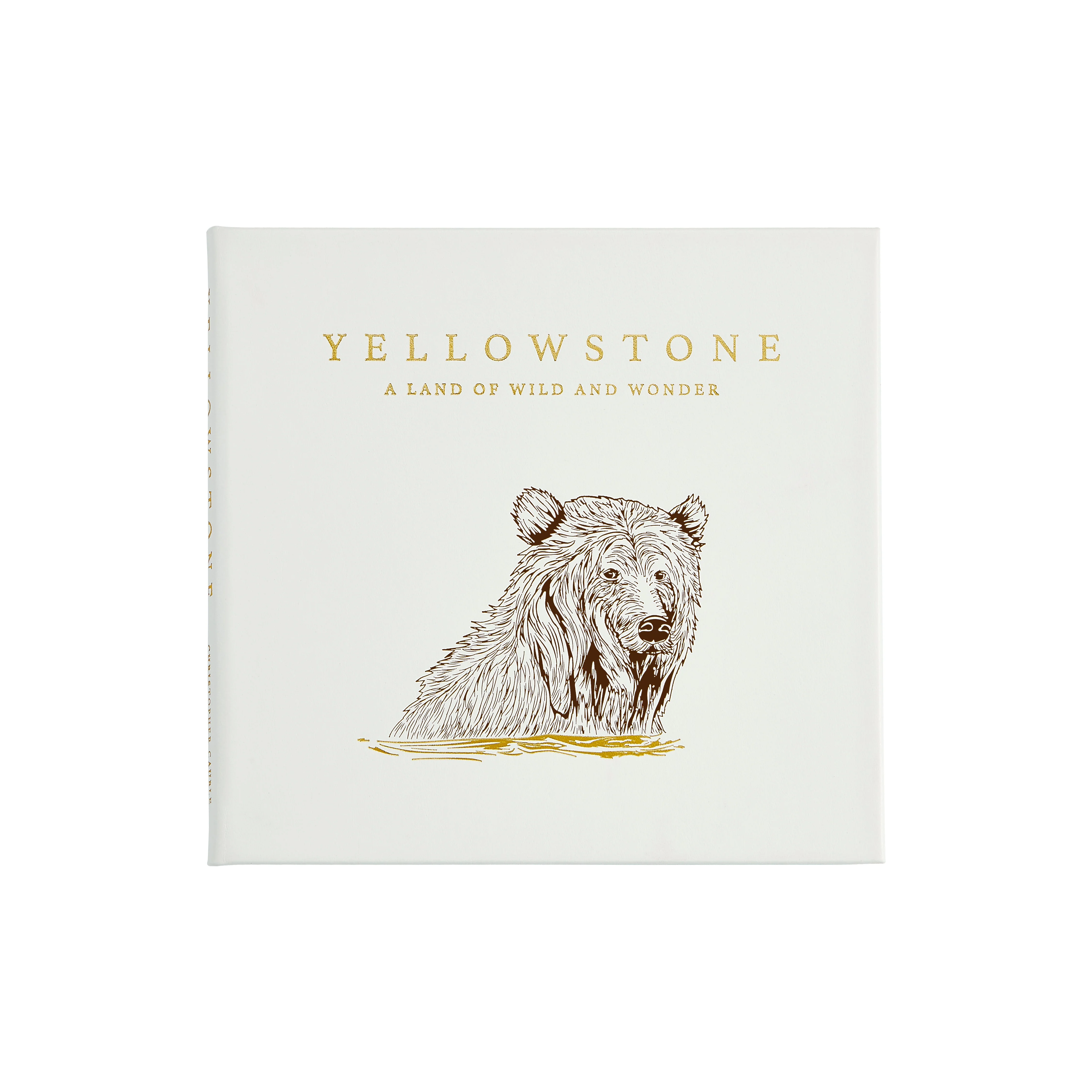 Yellowstone: A Land of Wild and Wonder - Image 3