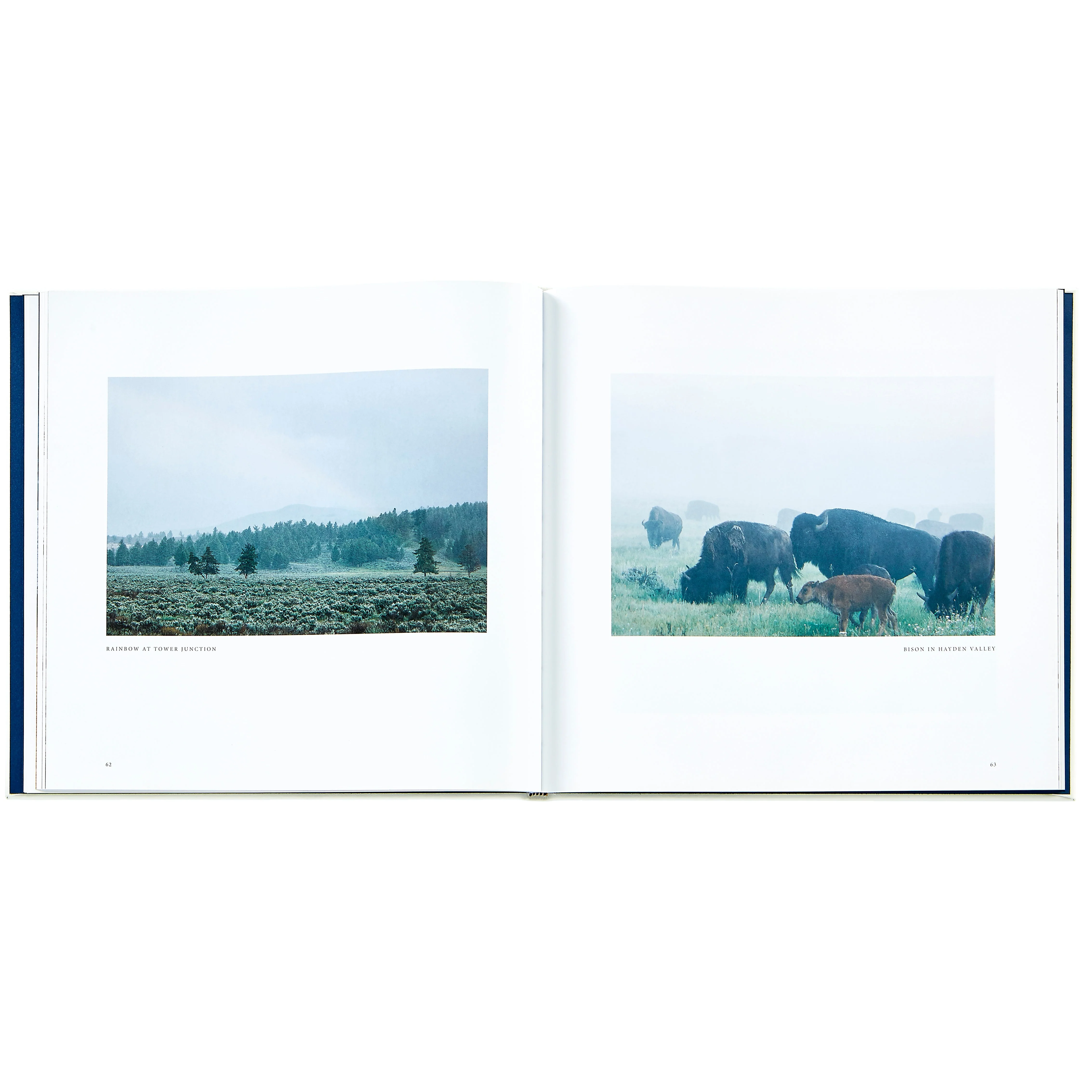 Yellowstone: A Land of Wild and Wonder - Image 5
