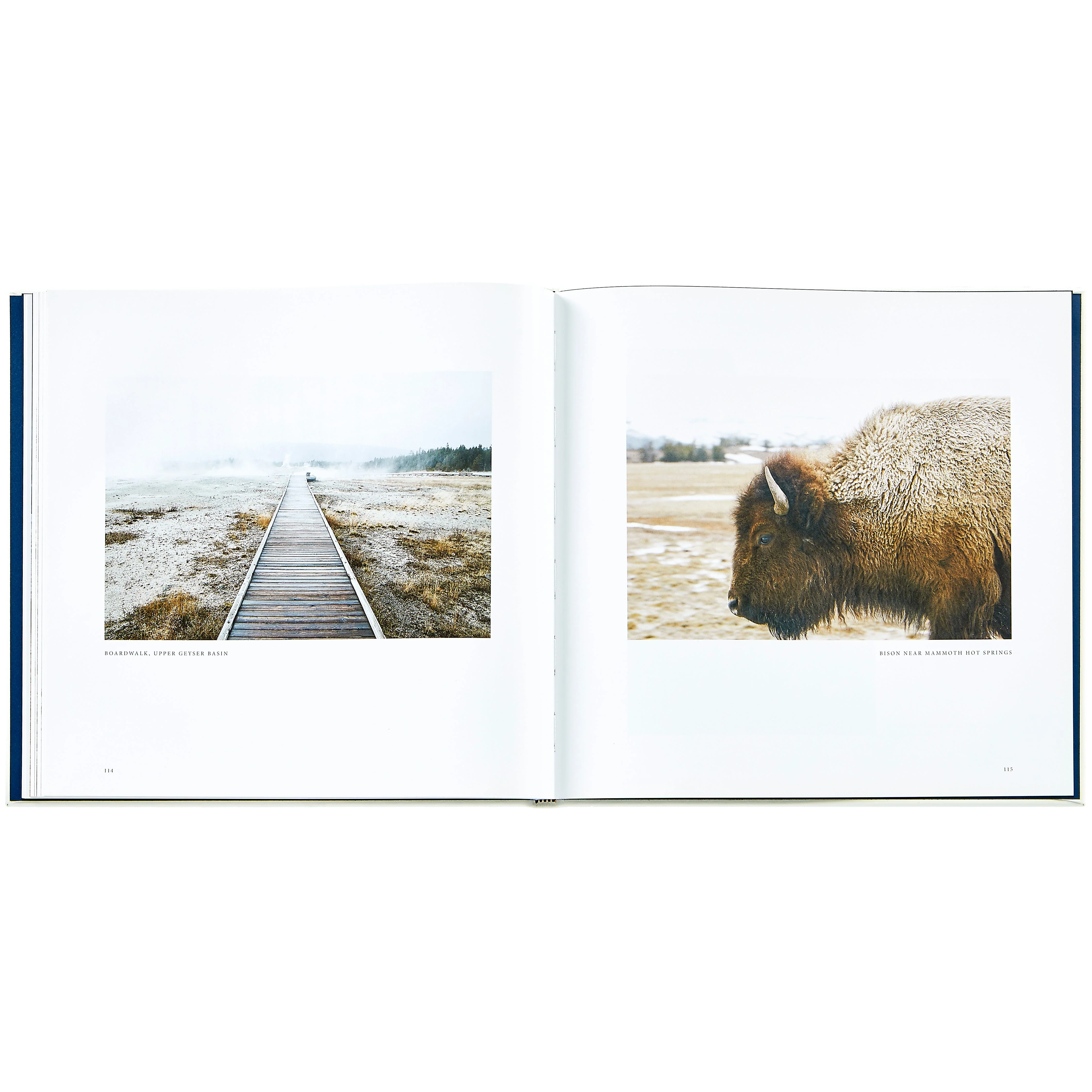 Yellowstone: A Land of Wild and Wonder - Image 7