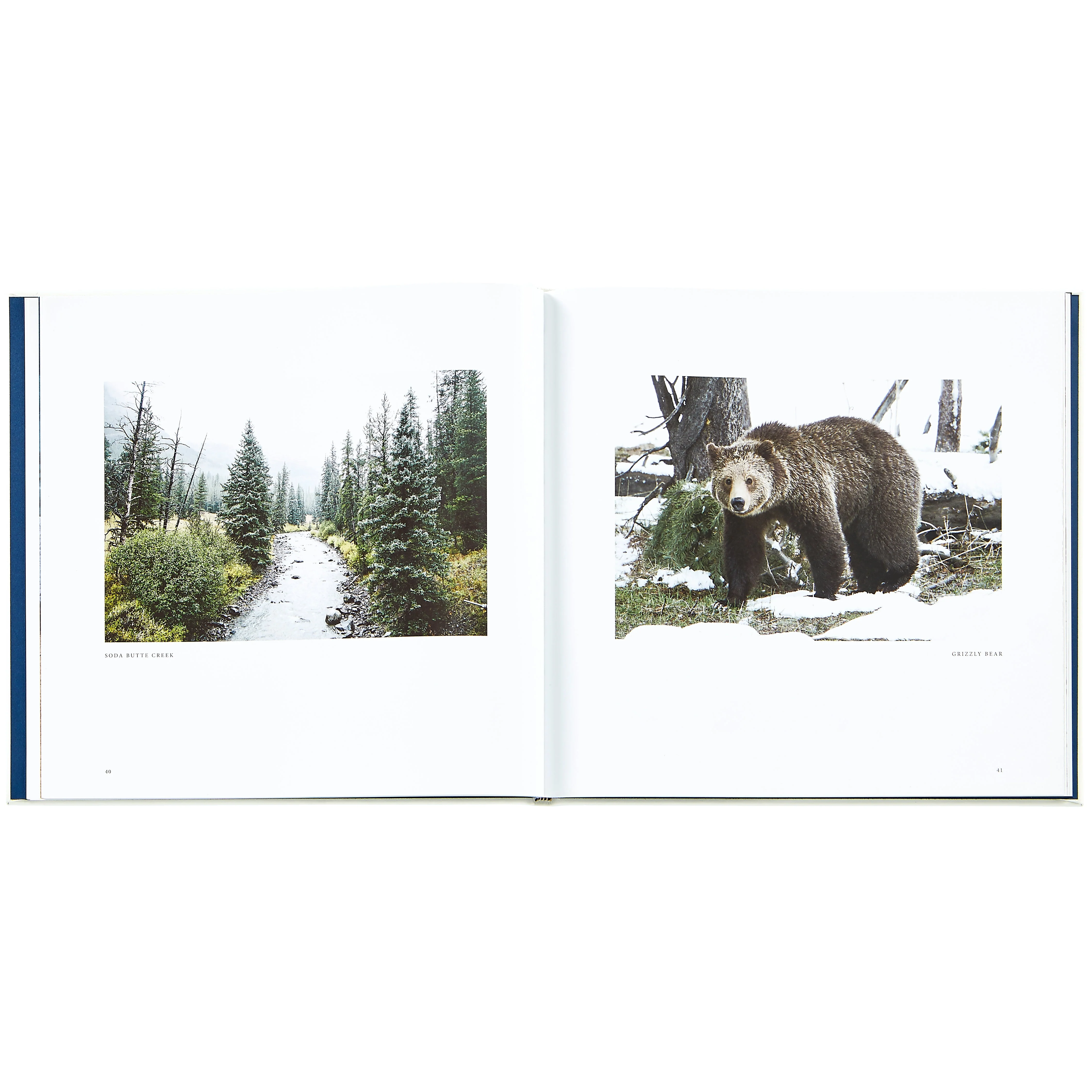 Yellowstone: A Land of Wild and Wonder - Image 8